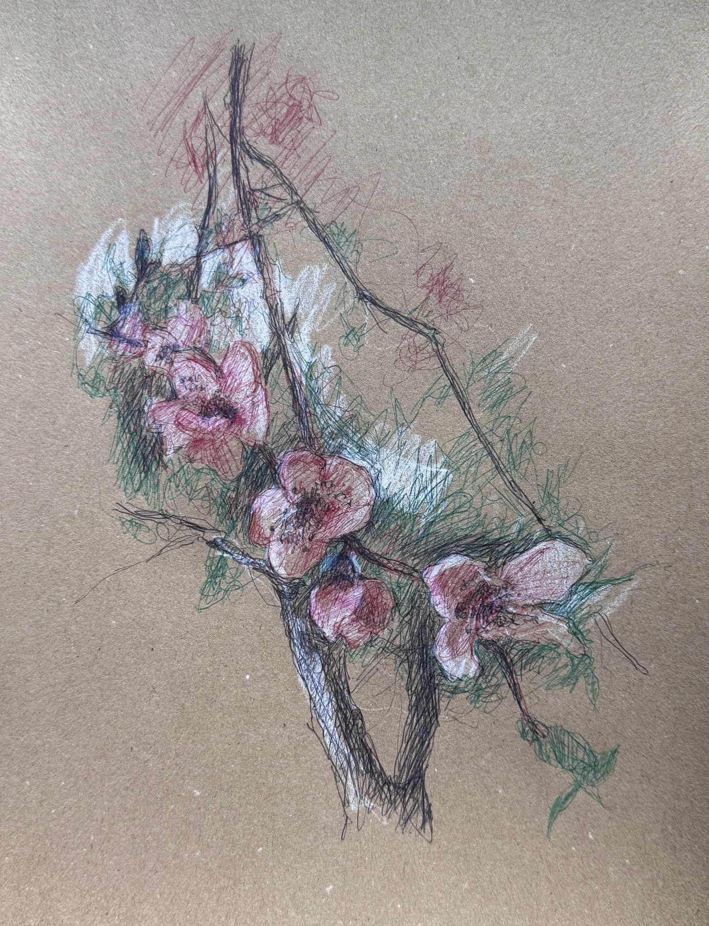 In bloom, 30x20cm